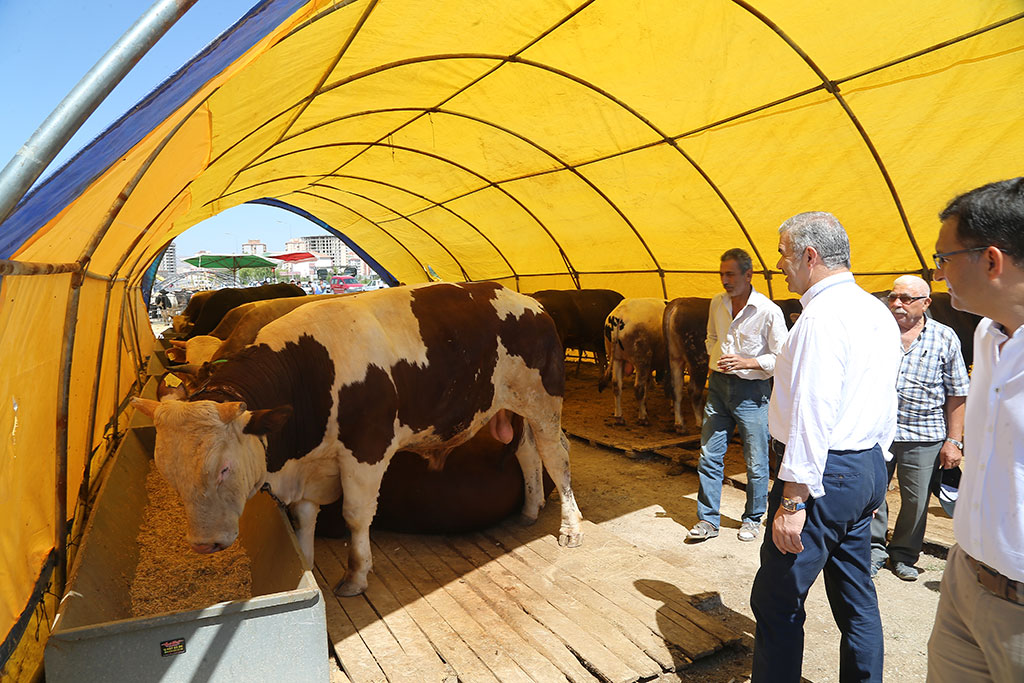 Başkan Çelik Kurban Pazarı'nda 