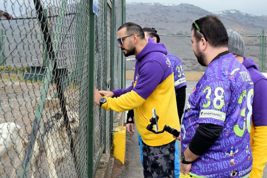 Satın Alma, Sahiplen