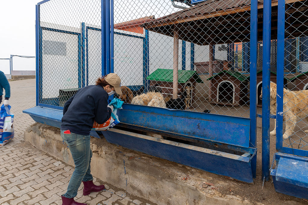 Büyükşehir Her Canlının Yanında