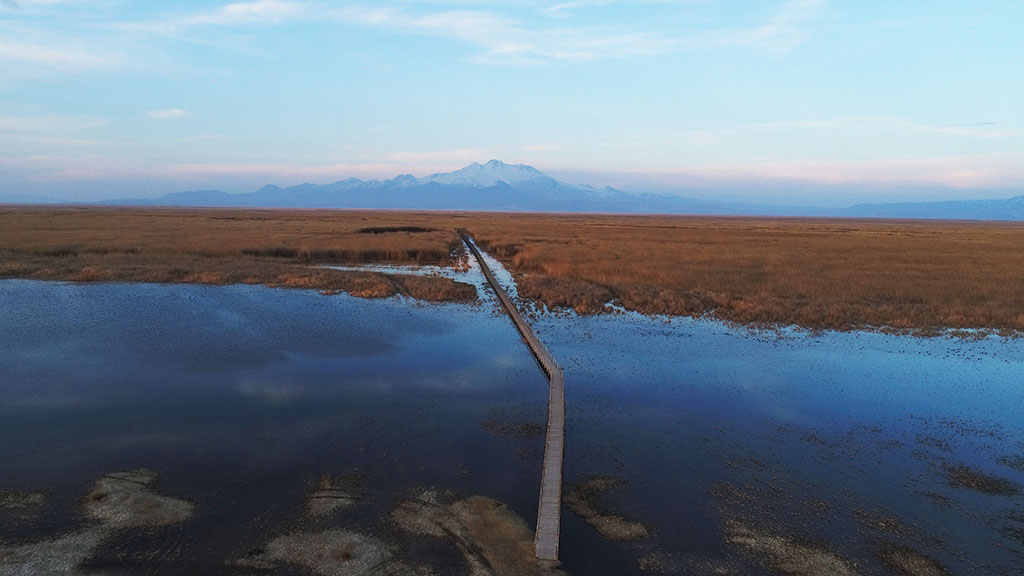 Başkan Büyükkılıç'tan Cumhurbaşkanı'na 
