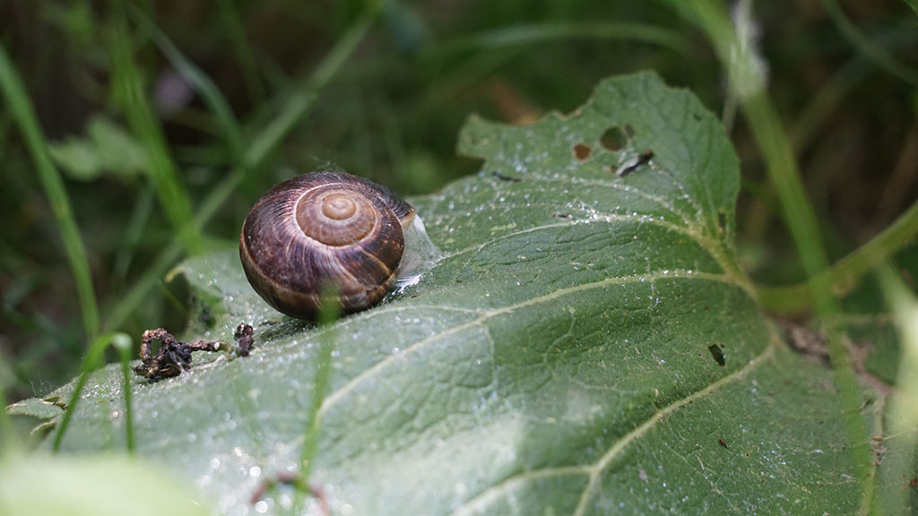Koramaz Vadisi Bilim İnsanlarının Çekim Merkezi Oldu 