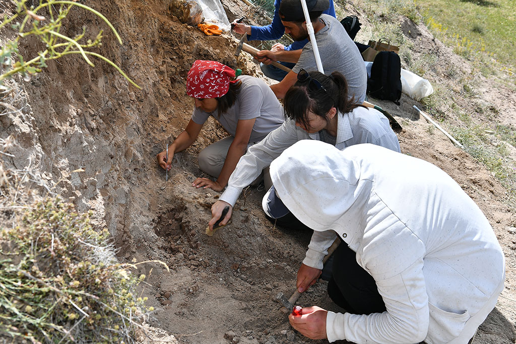 Büyükşehir, Anadolu'nun Mirasına Işık Tutuyor 