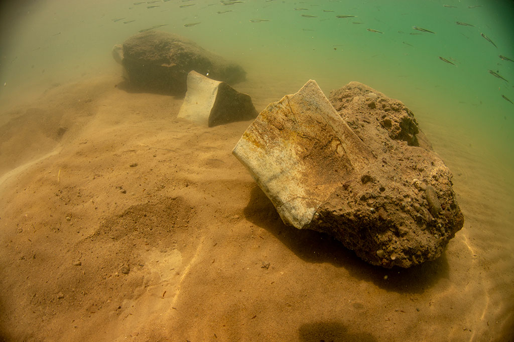 Dünyada İlk Kez Kara Canlısının Fosili Yamula Barajı'nda Su Altında Bulundu 