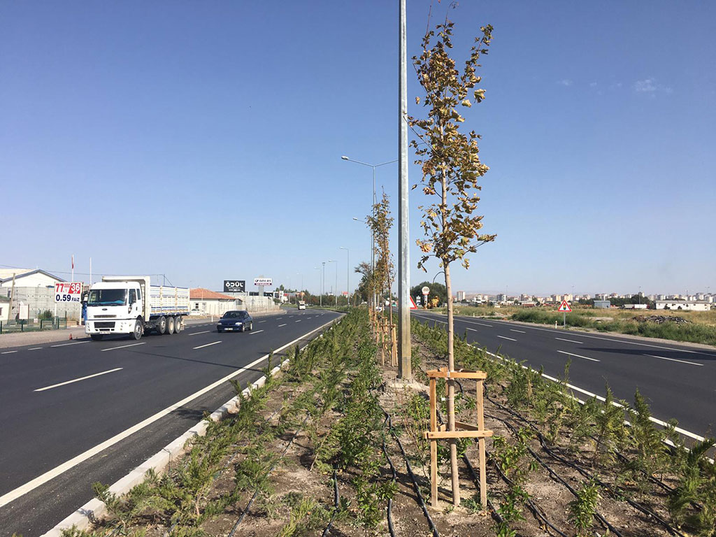 Büyükşehir, Şehrin Batı Girişine 62 Bin Fidan Dikti