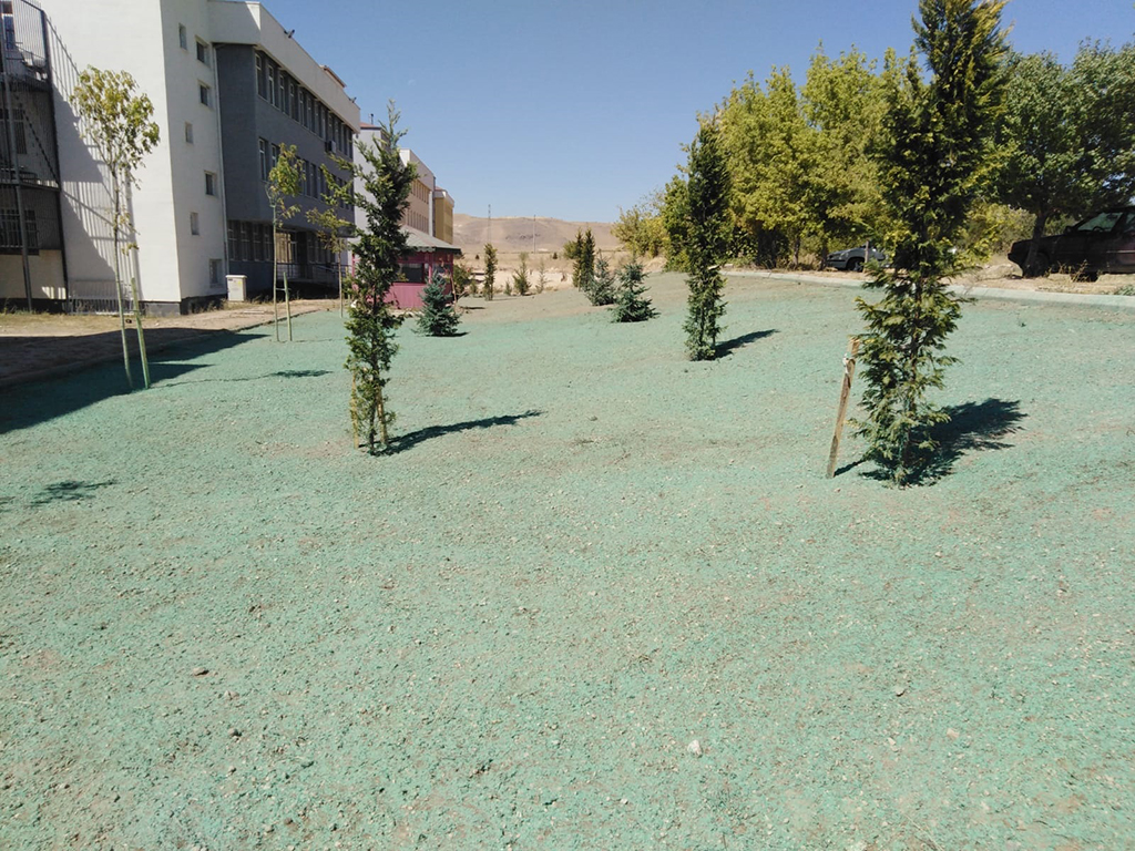 Üniversite Bahçesine Büyükşehir Dokunuşu