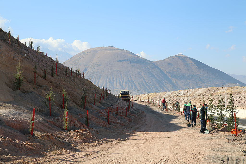 Büyükşehir, 100 Bin Fidanı Toprakla Buluşturuyor 
