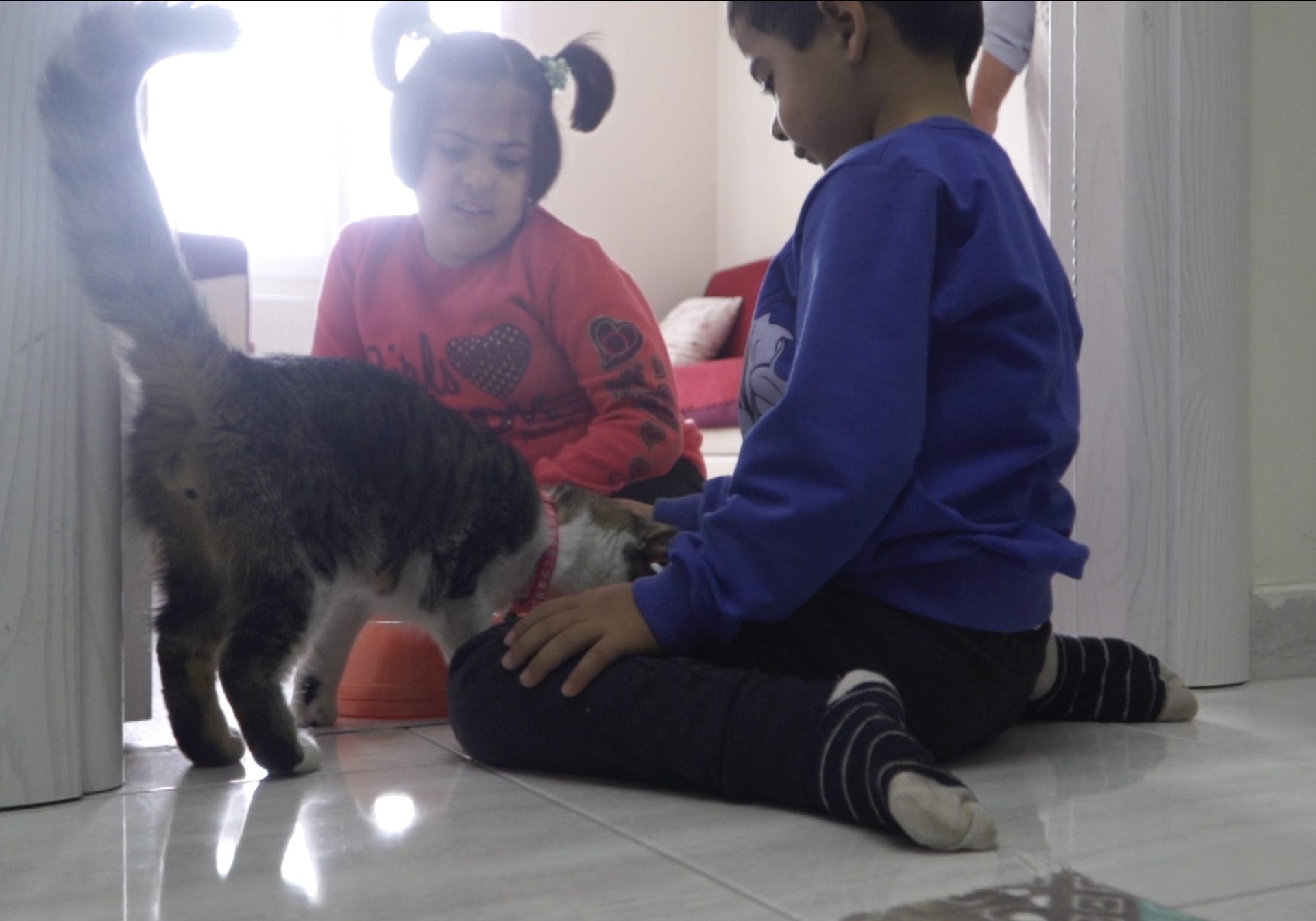 Başkan Büyükkılıç’tan Otizmli Ayşe Nisa’ya “Kedi” Sürprizi