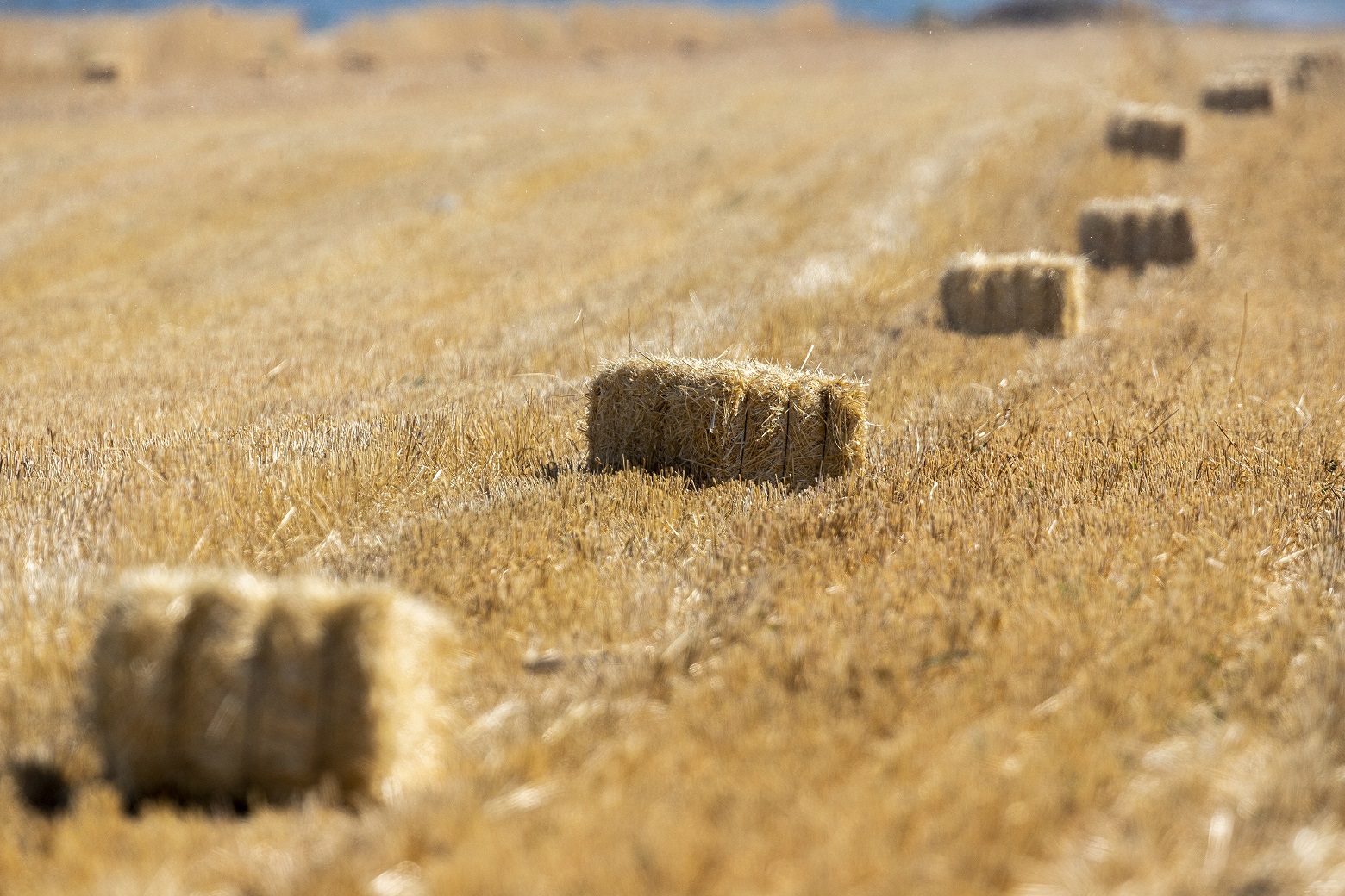 Büyükkılıç’ın Tarıma Verdiği Önem Rakamlara Yansıdı