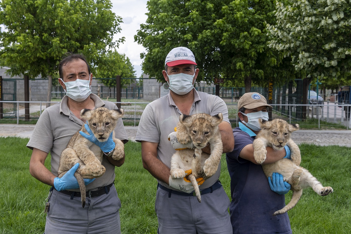 Büyükşehir Belediyesi Hayvanat Bahçesi'nde Yeni Yavruların Sevinci Yaşanıyor