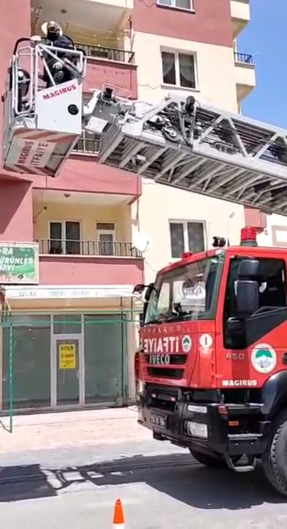 Büyükşehir İtfaiyesi, İplere Dolanan Kırlangıcı, Kuyuya Düşen Tilkiyi Kurtardı