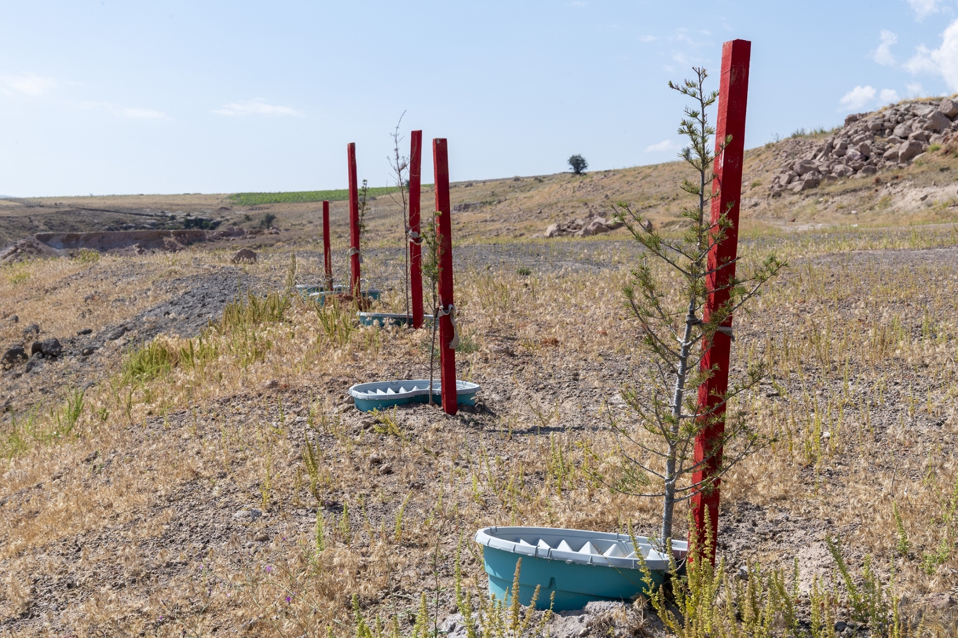Büyükşehir ile Daha Az Su Tüketimi Daha Fazla Yeşil Alan