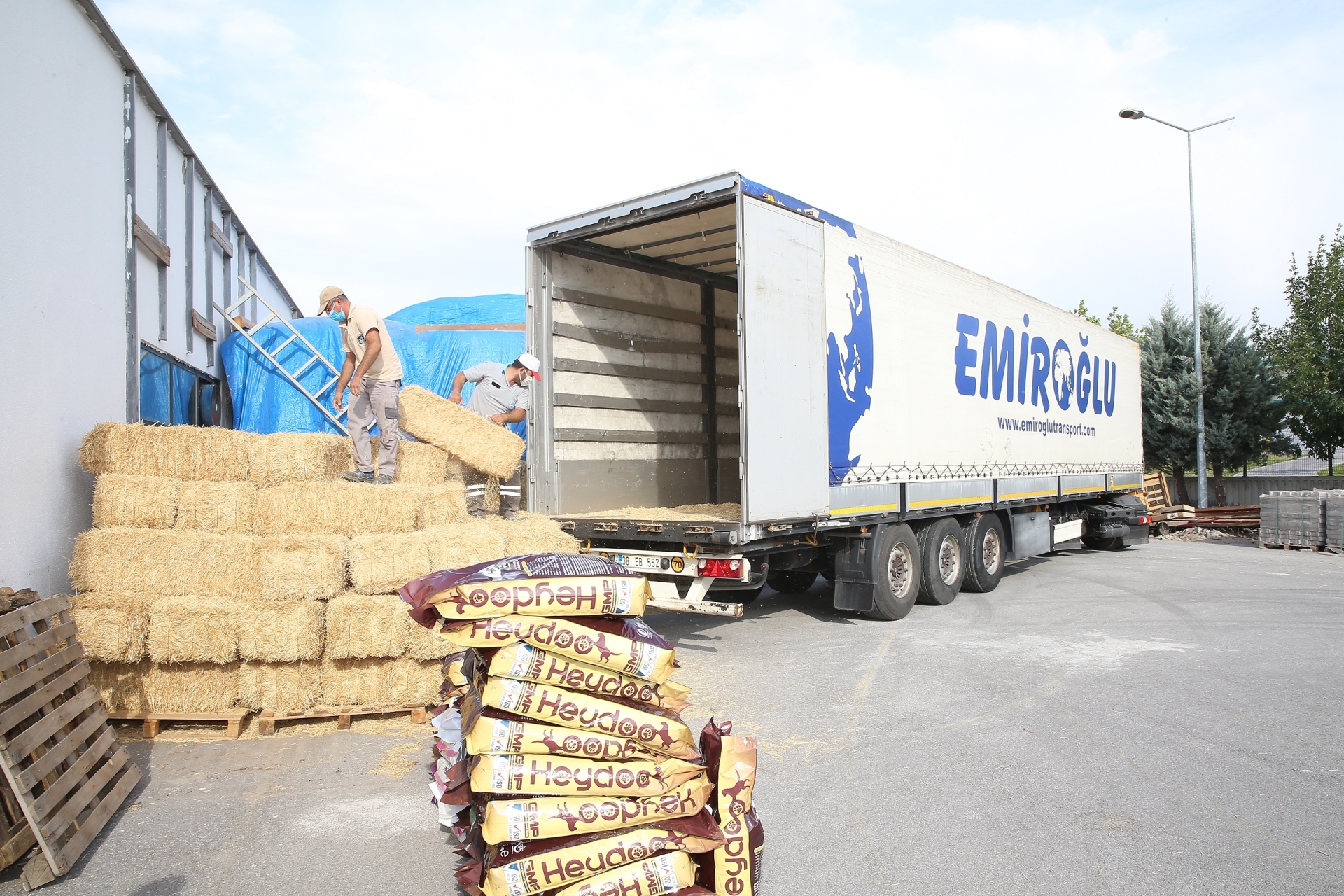 Büyükşehir'den Yangın Bölgelerine Yem ve Mama Desteği