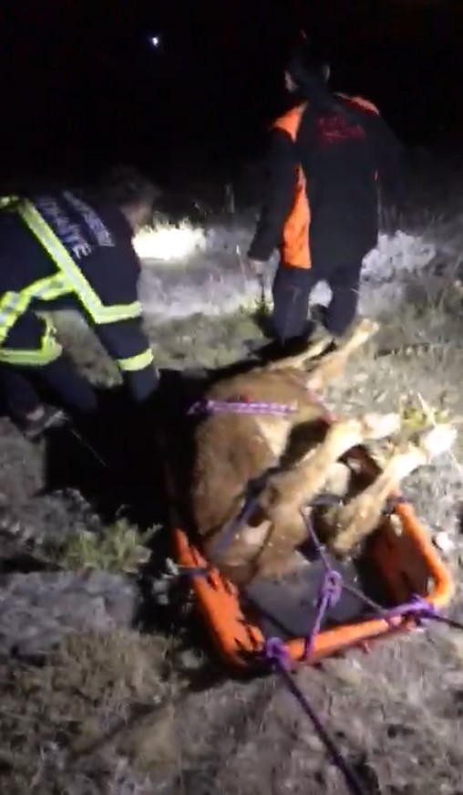 Büyükşehir İtfaiyesi’nden 3 Saatlik Kurtarma Operasyonu