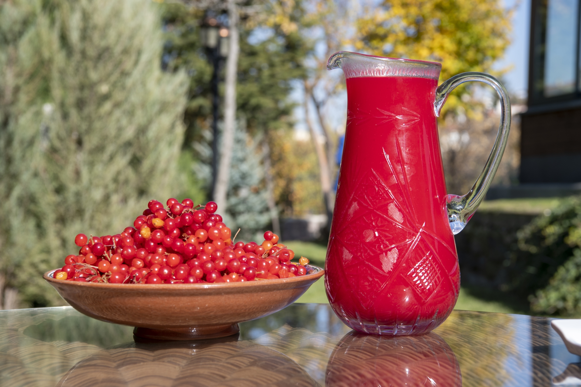 Doktor Başkan'dan Sağlık İçin Gilaburu Tavsiyesi