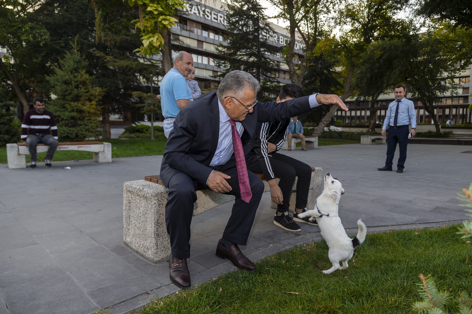Büyükşehir, 1 Yılda 10 Bin Sokak Hayvanına Sahip Çıktı