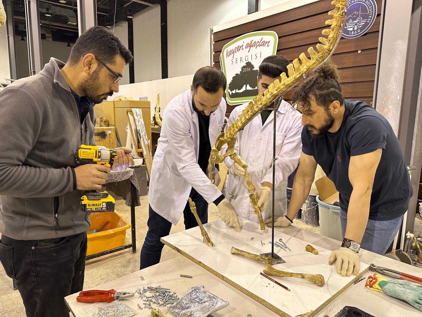 7,5 Milyon Yıllık Fosil Kazıları, Dünya Paleontoloji Tarihine Işık Tutuyor