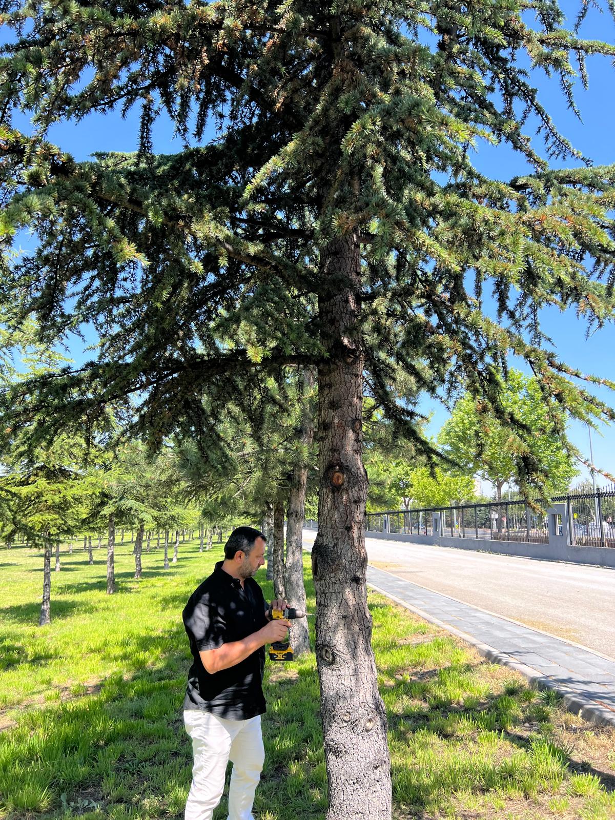 Kayseri Büyükşehir’den Yeşil Alanlarda Çevreci ve Etkin Mücadele