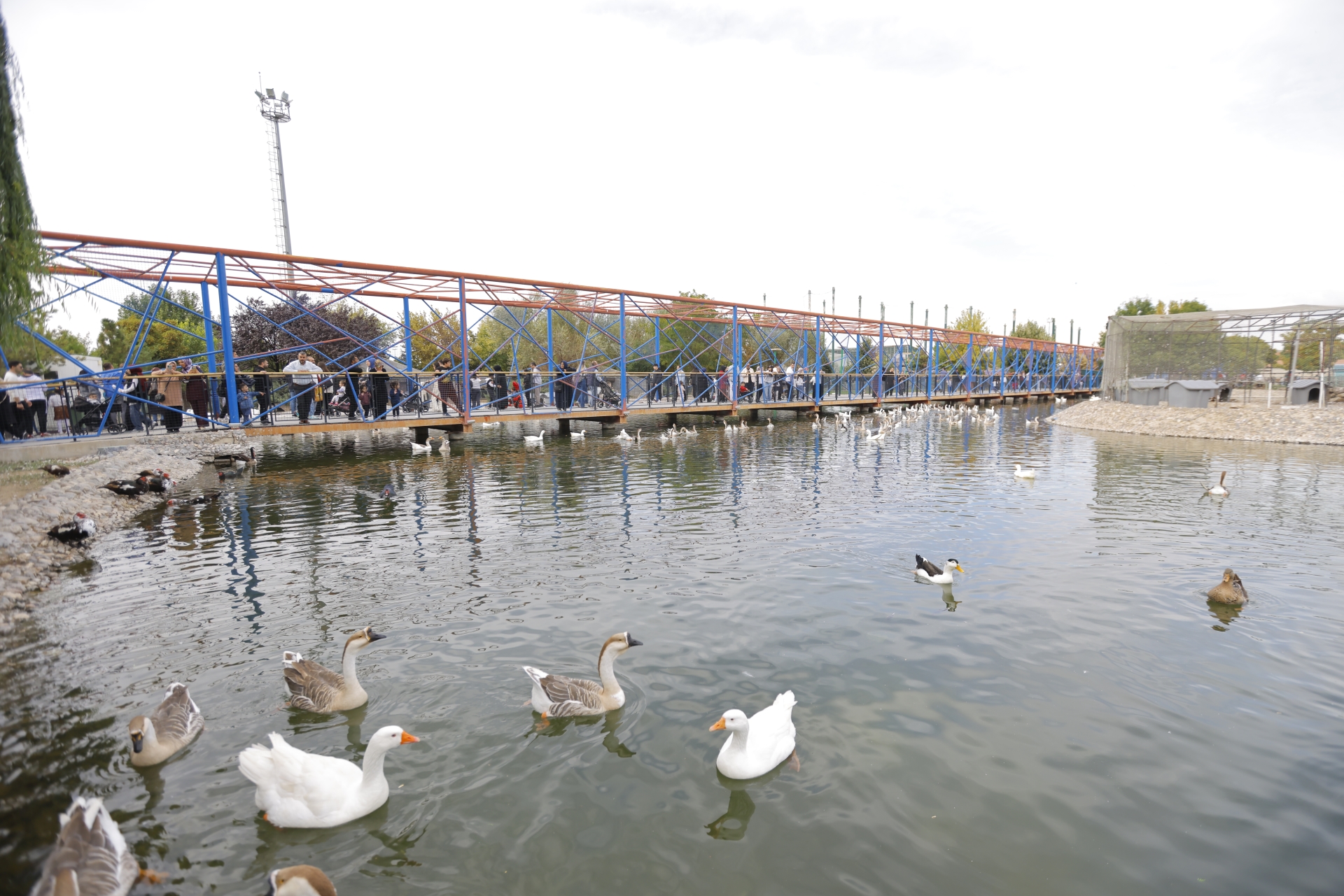 Büyükşehir’in Ücretsiz Hayvanat Bahçesi Uygulamasına, Dünya Hayvanları Koruma Günü’nde Yoğun İlgi