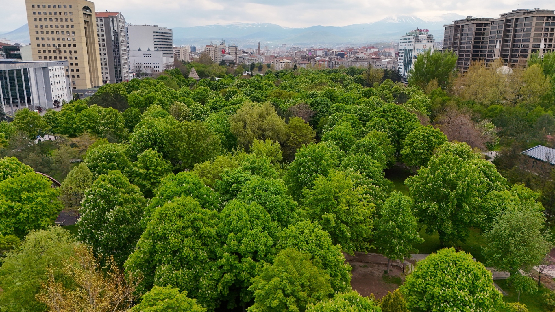 Büyükşehir’den Mimarsinan Parkı’na Modern Aydınlatma Hamlesi