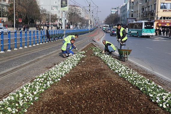 Büyükşehir'den 2 Milyon Çiçek