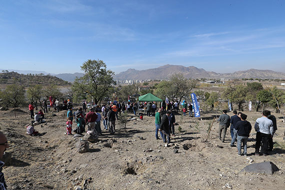Çevreci Ulaşım